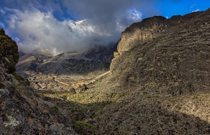 Kilimanjaro trekking Lemosho Route