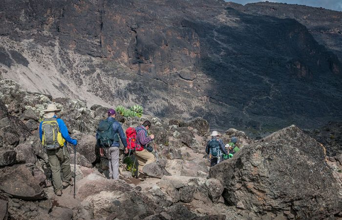 Machame Route, Lemosho Route Kilimanjaro trekking