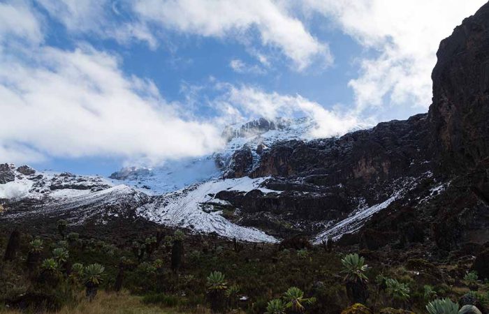 Kilimanjaro trekking, Rongai Route, Lemosho Route