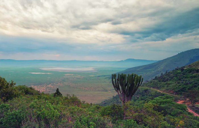 Mid-range Safari in Tanzania, Ngorongoro Crater