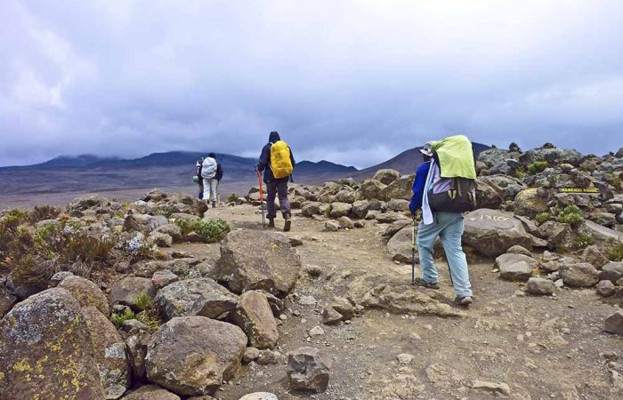 Kilimanjaro Trekking Rongai route, best time to climb Kilimanjaro