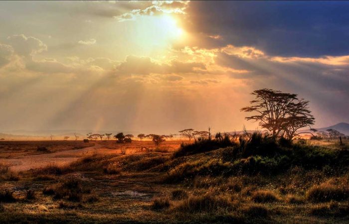 Mid-range Safari, Great Migration Safari, Ngorongoro Crater